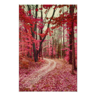 Ethereal Forest Path With Red Fall Colours Photo Print