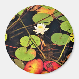 "Ethereal Lily Pad Pond with Central White Blossom Magnet