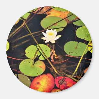 "Ethereal Lily Pad Pond with Central White Blossom Magnet
