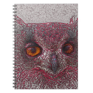 Ethereal Owl Notebook