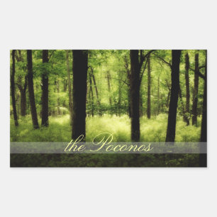 Ethereal Summer Woods Poconos Sticker