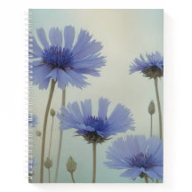 Ethereal Wildflowers