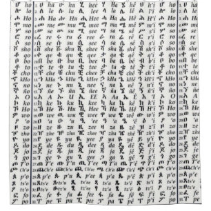 Ethiopian Amharic Alphabet Ge'ez Fidel Poster Shower Curtain