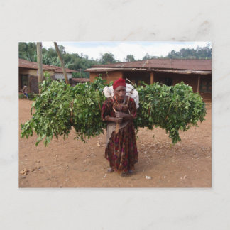 Ethiopian Woman 5 Postcard