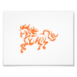 Ethnic tribal Horse - Choose background colour Photo Print