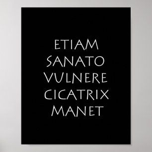 Etiam sanato vulnere cicatrix manet poster