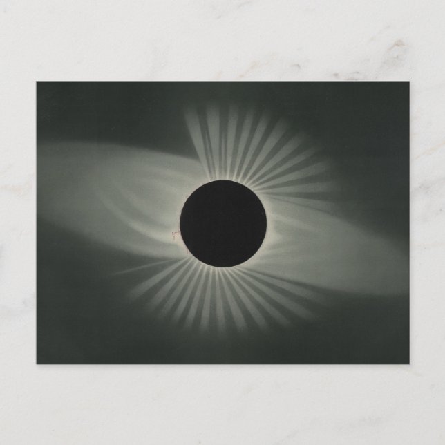 Etienne Leopold Trouvelot - Total Eclipse Postcard (Front)