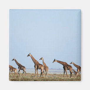 Etosha National Park, Namibia 2 Magnet