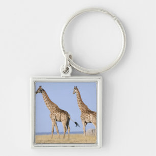 Etosha National Park, Namibia 3 Key Ring
