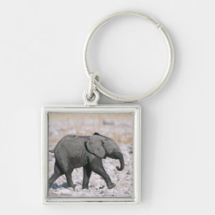 Etosha National Park, Namibia Key Ring