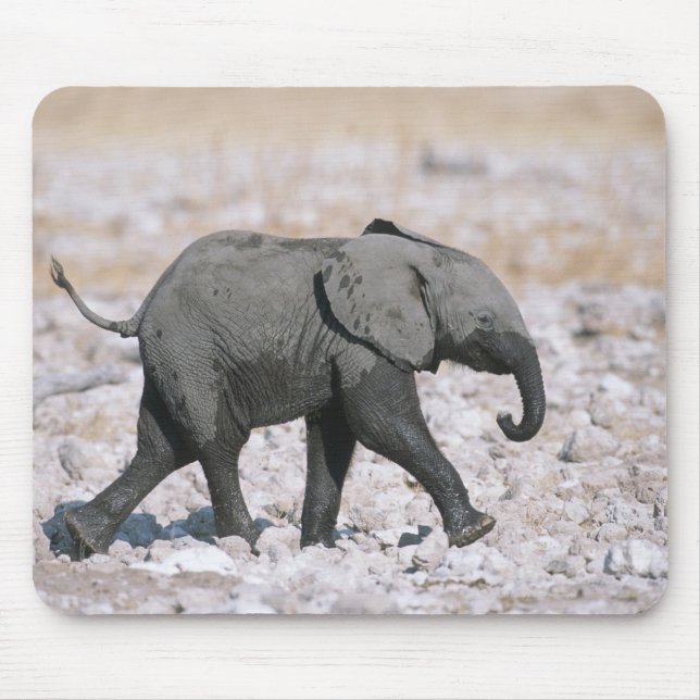 Etosha National Park, Namibia Mouse Pad (Front)