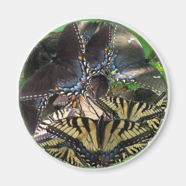 ets_yin_zazzle magnet (Front)