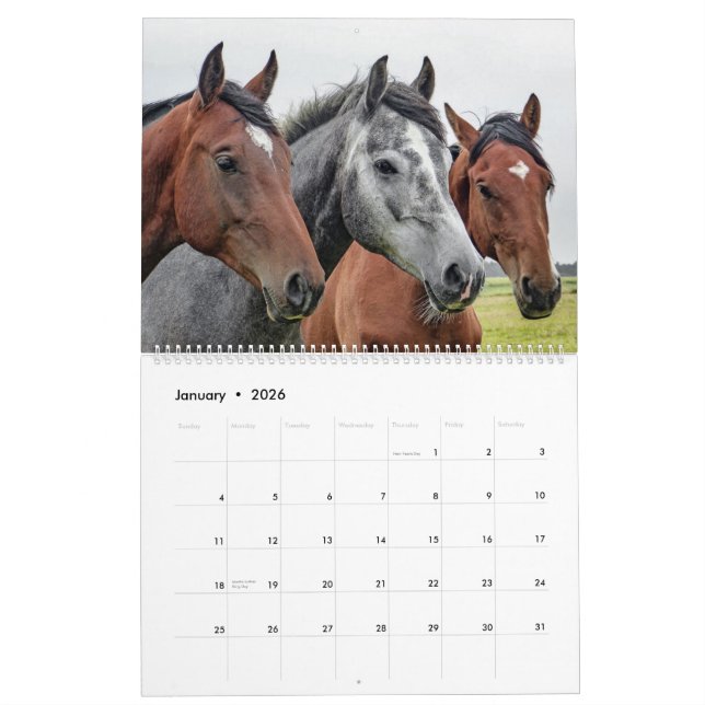 Etsy_Calender (Horse) Calendar (Jan 2026)