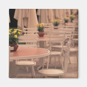 EU, France, Loire Valley, Indre, et, Loire, 2 Magnet