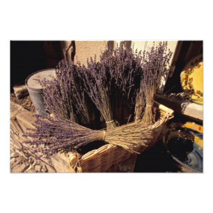 EU, France, Provence, Bouches, du, Rhone, Les 2 Photo Print