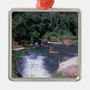 EU, France, Provence, Frontaine de Vaucluse Metal Tree Decoration