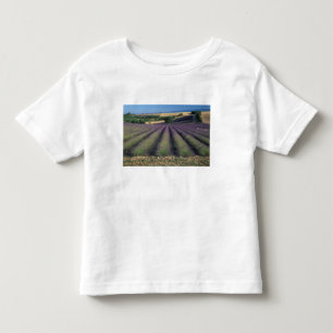 EU, France, Provence, Lavender fields 2 Toddler T-Shirt