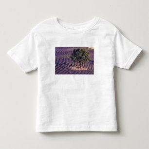 EU, France, Provence, Lavender fields Toddler T-Shirt