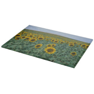 EU, France, Provence, Sunflower field Cutting Board