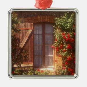 EU, France, Provence, Vaucluse, Apt. House 2 Metal Ornament
