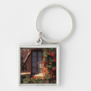 EU, France, Provence, Vaucluse, Apt. House Key Ring