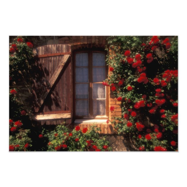 EU, France, Provence, Vaucluse, Apt. House Photo Print (Front)