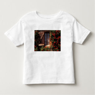 EU, France, Provence, Vaucluse, Apt. House Toddler T-Shirt
