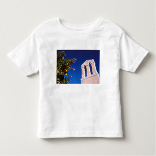 EU, Greece. Greek Orthodox church Toddler T-Shirt