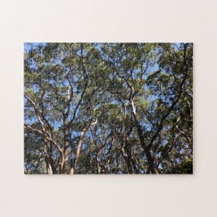 eucalypts jigsaw puzzle