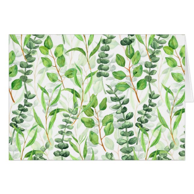 Eucalyptus (Front Horizontal)