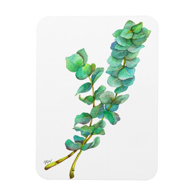 Eucalyptus 01 magnet (Vertical)