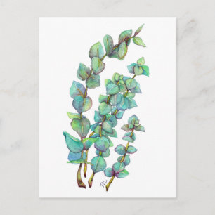 Eucalyptus 02 postcard