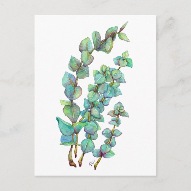 Eucalyptus 02 postcard (Front)