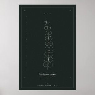 Eucalyptus Botanical Line Art Poster, Dark Academi Poster