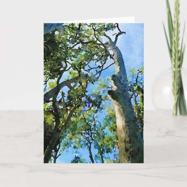 Eucalyptus Forest Holiday Card (Front)