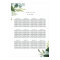 Eucalyptus Green Foliage Wedding Seating Chart