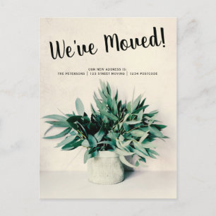 Eucalyptus moving announcement Upload your photo Postcard