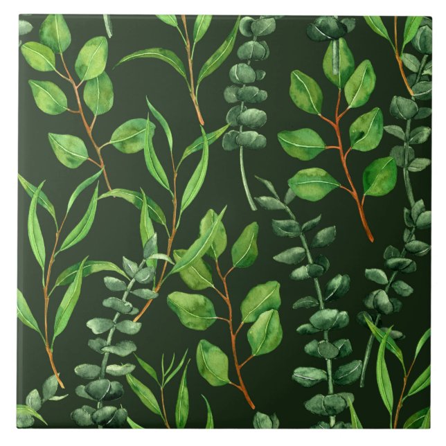 Eucalyptus  on dark green ceramic tile (Front)