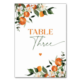 Eucalyptus oranges citrus theme table number Three