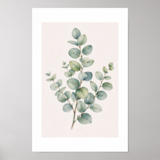 Eucalyptus Poster
