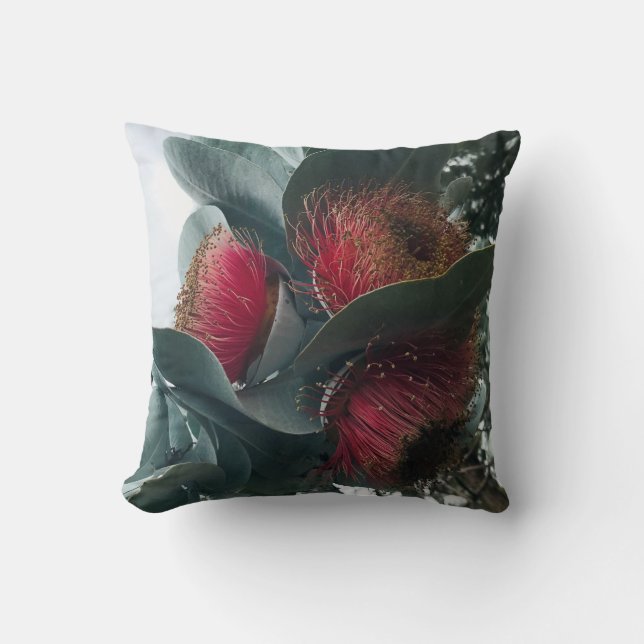 Eucalyptus Rose Mallee Cushion (Front)