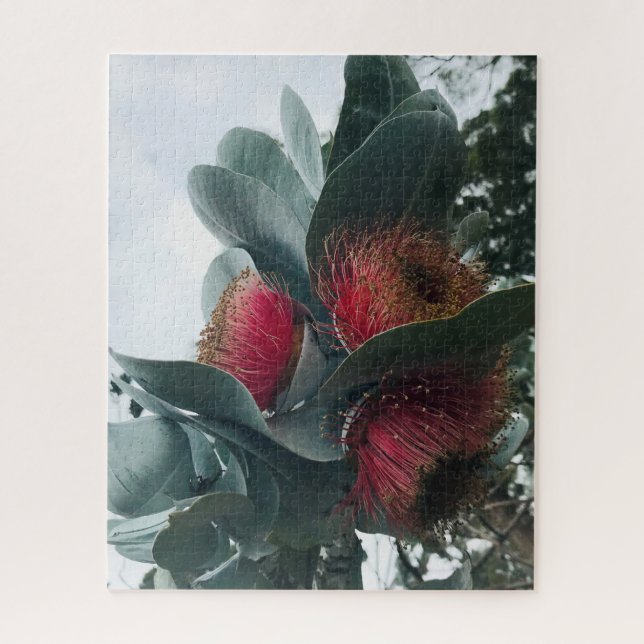 Eucalyptus Rose Mallee Jigsaw Puzzle (Vertical)