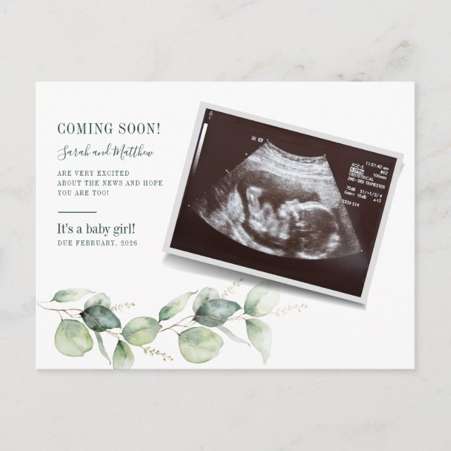 Eucalyptus Sonogram Baby Scan Reveal Pregnancy Announcement Postcard (Front)