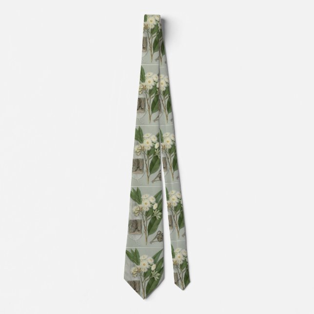 Eucalyptus tie (Front)