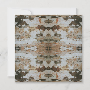 Eucalyptus Tree Bark Photo Closeup With Pattern Card