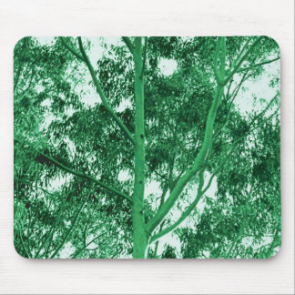 Eucalyptus Tree photo painting mousepad