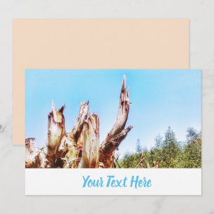 Eucalyptus Tree Stump Blue Sky Invitation Card