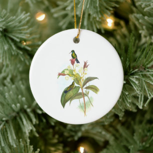 Eucephala caerulea (Blue-chinned Sapphire) Ceramic Ornament