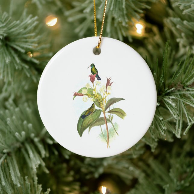 Eucephala caerulea (Blue-chinned Sapphire)   Ceramic Ornament (Tree)