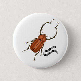 Euchirus longimanis 6 cm round badge